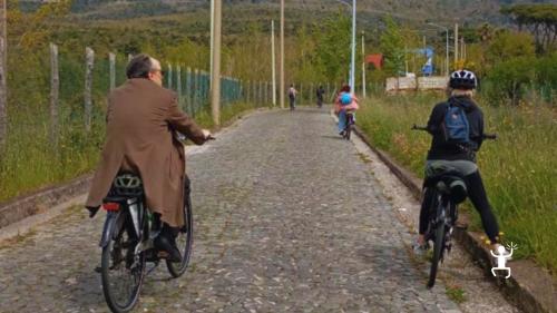 Live the adventure on Mount Vesuvius by e-bike from Trecase, breathtaking landscapes and nature for groups and families