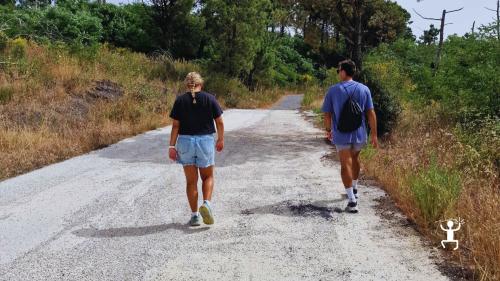 E-bike tour on Mount Vesuvius from Trecase, historical trail and panoramic view, perfect for groups, couples, and team building