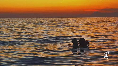 Navigazione panoramica al tramonto lungo il Lungomare San Marco, ideale per esperienze romantiche 