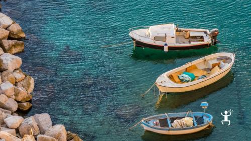 Barche ormeggiate nel pittoresco porto di Procida, pronte per un tour in barca. Perfetto per gruppi, coppie, team building, addii al celibato e nubilato, e idee regalo in Campania