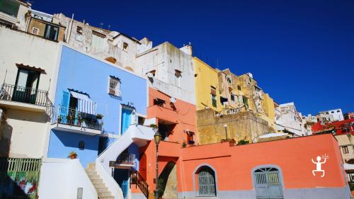 Tour ab Ischia, um die Farben, Landschaften und Küste von Procida zu erleben, ideal als Geburtstagsgeschenk