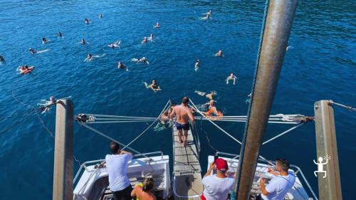 Freizeit im charakteristischen Dorf von Procida, ideal für Freundesgruppen und Familien im Urlaub in Kampanien
