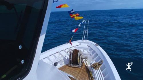 Tagesausflug mit dem Motorschiff und Freizeit zur Erkundung von Procida, ideal als originelle Geschenkidee