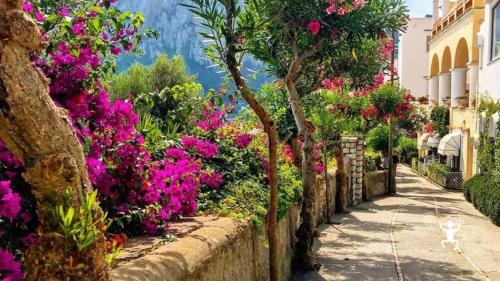 Vivez une excursion en bateau excitante à Capri, en explorant les criques cachées et les célèbres Faraglioni. Parfait pour les couples, les groupes, les activités de team building, les enterrements de vie de célibataire et une idée de cadeau exclusive en Campanie