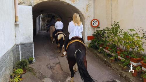 Escursione a cavallo nei sentieri di Cava de’ Tirreni con vista sul Golfo di Salerno, esperienza per coppie e gruppi in Campania