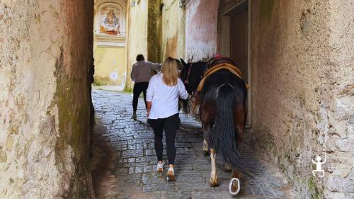 Passeggiata a cavallo tra natura e colline a Cava de’ Tirreni con vista sul Golfo di Salerno, attività per gruppi di amici 