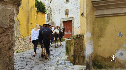 Tour a cavallo sui sentieri panoramici di Cava de’ Tirreni con vista sul Golfo di Salerno, esperienza ideale per team building