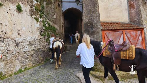 Escursione a cavallo tra natura e panorami sul Golfo di Salerno vicino Cava de’ Tirreni, perfetta idea regalo