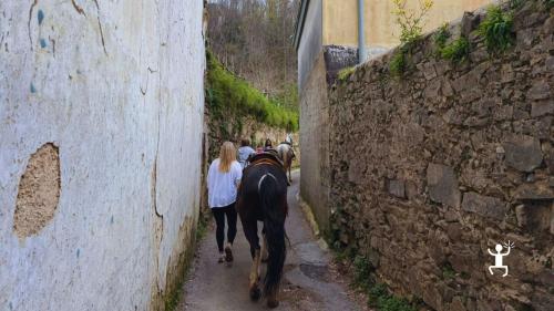 Tour a cavallo tra sentieri e natura nelle colline di Cava de’ Tirreni con vista mare, esperienza idea per famiglie in Campania