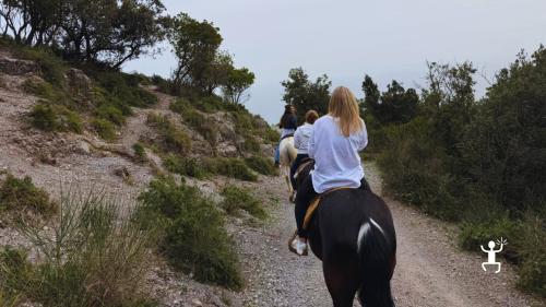 Tour a cavallo nella Valle San Liberatore vicino Cava de’ Tirreni con panorama sul Golfo di Salerno, esperienza per coppie