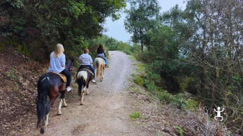 Escursione a cavallo con guide equestri tra sentieri e colline di Cava de’ Tirreni, attività per amici in Campania