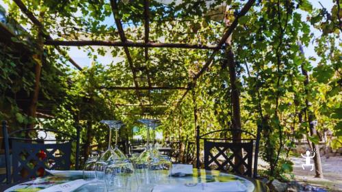Tavolo tra i filari per un pranzo all’aperto – esperienza unica per addii al celibato e nubilato e team building in Campania