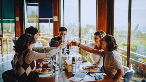 Gruppo brinda durante l’esperienza in cantina – tour perfetto per addii al celibato e nubilato e gruppi di amici in Campania