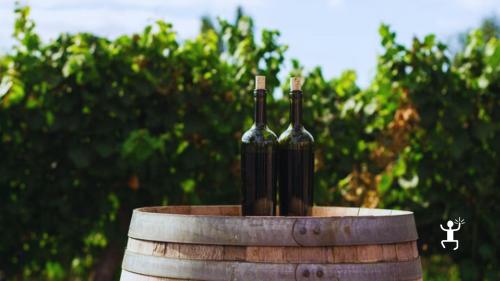 Verkostung von Vesuvweinen in einem Weingut in Pompeji – Genussreise zwischen Weinbergen und Tradition im Nationalpark Vesuv, Kampanien