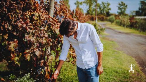 Spaziergang durch die Weinberge des Vesuvs in Pompeji – authentisches Erlebnis für Junggesellen- und Junggesellinnenabschiede in Kampanien