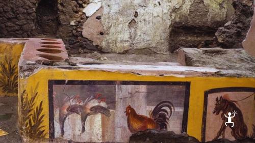 Affreschi e scorci delle domus di Pompei – esperienza immersiva per coppie e appassionati di storia in Campania