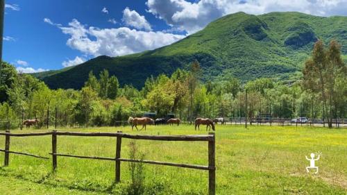 Escursione a cavallo nel Parco Nazionale del Matese, ideale per coppie e gruppi in cerca di natura autentica in Campania