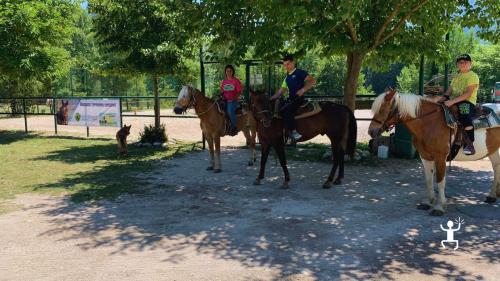 Tour a cavallo per principianti ed esperti con guida certificata, ideale per idee regalo e team building in Campania