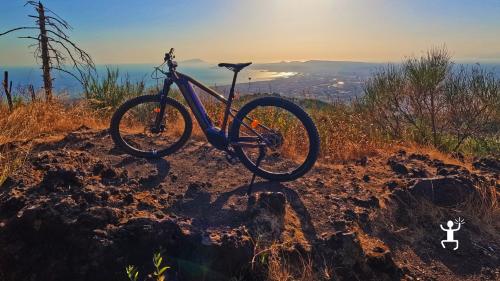 Guided e-bike tour on Mount Vesuvius through volcanic landscapes and nature – ideal for couples and groups in Campania