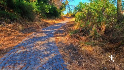 Pedalata in e-bike tra paesaggi naturali vulcanici del Vesuvio – esperienza per coppie e gruppi in Campania