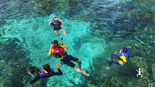 Paesaggio della Baia di Ieranto, escursione trekking e mare nella riserva naturale protetta dal FAI in Campania, ideale per gruppi