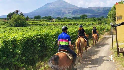 Excursion à cheval au pied du Vésuve, vues sur le Golfe de Sorrente – Parfait pour les familles, les amis et le team building en Campanie