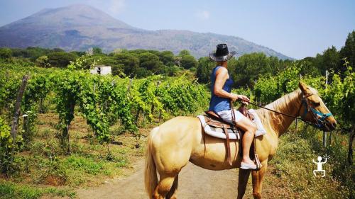 Promenade à cheval à travers les vignobles du Vésuve, avec vue panoramique sur Capri et le Golfe de Sorrente – Expérience idéale pour les groupes et les idées cadeaux en Campanie