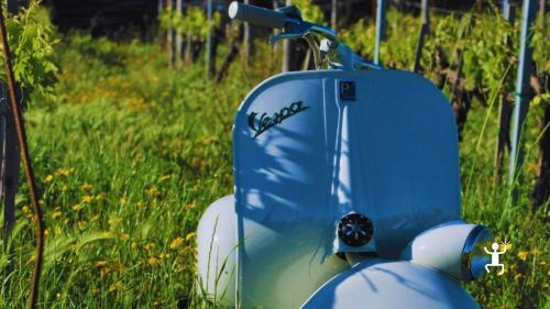 Esperienza in Vespa Piaggio Faro Basso - anno 1955 per team building aziendali, addio al celibato e nubilato