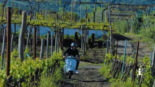 Esperienza vintage in Campania con Vespa Piaggio GS 150 - anno 1959, per gruppi e amici, team building aziendali