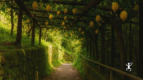 Escursione sul Sentiero dei Limoni con pausa per gustare il tradizionale Sospiro al limone, un'esperienza perfetta come idea regalo speciale