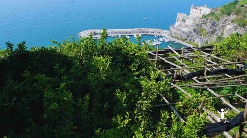 Passeggiata tra scorci sul mare e profumo di limoni sfusati, perfetta per coppie, gruppi di amici e idee regalo uniche in Costiera Amalfitana