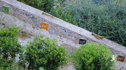 Escursione guidata sul Sentiero dei Limoni con guida ideale per coppie, famiglie e gruppi in Campania