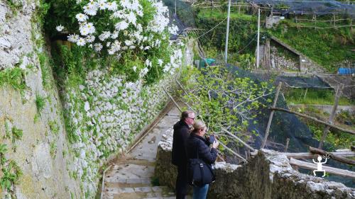 Trekking tra limonaie e vista mare in Costiera Amalfitana con guida, ideale per coppie e gruppi in Campania