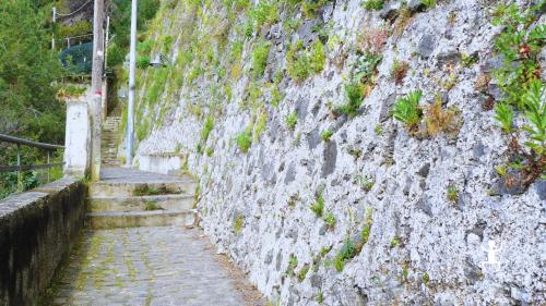 Trekking panoramico tra Maiori e Minori con visita limonaia e racconti locali ideale per coppie e famiglie