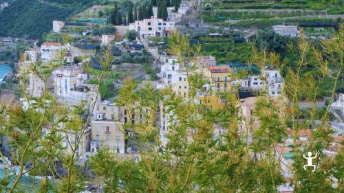Percorso panoramico tra Maiori e Minori tra limonaie storiche e scorci panoramici ideale per coppie e amici in Campania