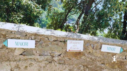 Visita alla limonaia tradizionale, dove scoprire i segreti dello Sfusato Amalfitano, simbolo della Costiera Amalfitana, ideale per escursioni in famiglia e gruppi di amici