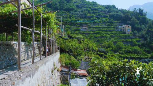Vista panoramica del Sentiero dei Limoni, ideale per coppie e gruppi in cerca di un'esperienza immersiva nella natura della Costiera Amalfitana
