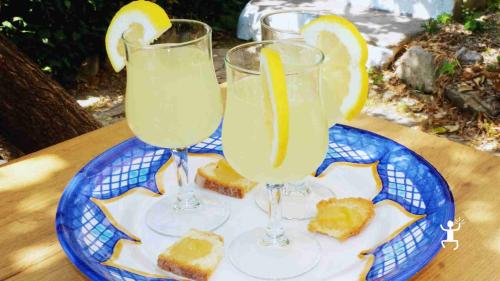 Trekking sul Sentiero dei Limoni con pausa per gustare limonata artigianale, esperienza perfetta per coppie, gruppi e famiglie in Campania 