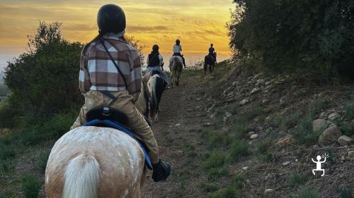 Passeggiata a cavallo nella campagna di Misterbianco con guide abilitate ENGEA, ideale per principianti, famiglie e gruppi