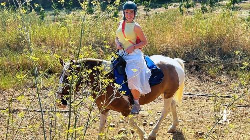 Trekking a cavallo alle porte di Catania, escursione autentica ideale per team building, gruppi organizzati e famiglie