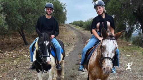 Passeggiata naturalistica a cavallo a Misterbianco con istruttori certificati, perfetta come idea regalo o esperienza di coppia
