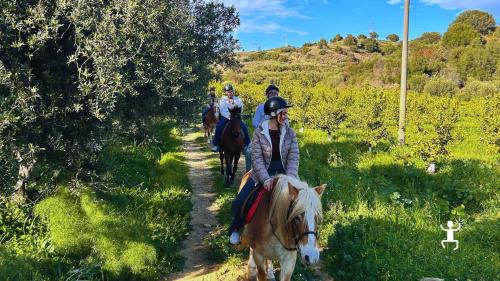 Passeggiata a cavallo con guide ENGEA a Misterbianco, vista su Etna e mare Ionio, esperienza per gruppi e coppie in Sicilia