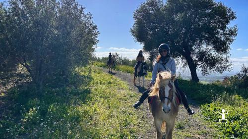 Escursione a cavallo in Sicilia con splendida vista sull’Etna, ideale per esperti e principianti, gruppi e famiglie