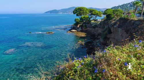 Snorkeling nella baia di Trentova durante tour barca, ottimo per gruppi, famiglie e amanti del mare