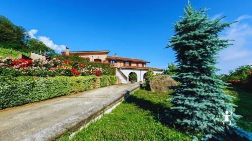Visita in cantina a conduzione familiare ad Avellino con degustazione di vini e prodotti tipici, perfetta idea regalo in Campania