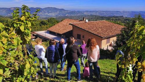 Esperienza in cantina in Irpinia con tour guidato tra vigneti, bottaia e sala degustazione, ideale per team building