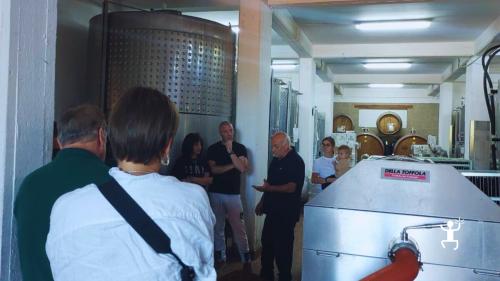 Visita in cantina ad Avellino, passeggiata nei vigneti e degustazione vini, idea regalo esclusiva in Campania