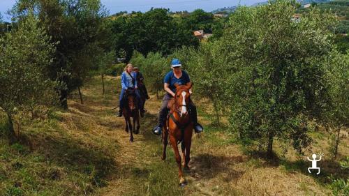 Passeggiata a cavallo con viste sulle isole e sul Vesuvio, autentica esperienza come idea regalo in Campania