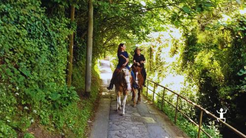 Tour a cavallo tra pinete e scorci unici della Costiera, autentica esperienza per team building e amici in Campania