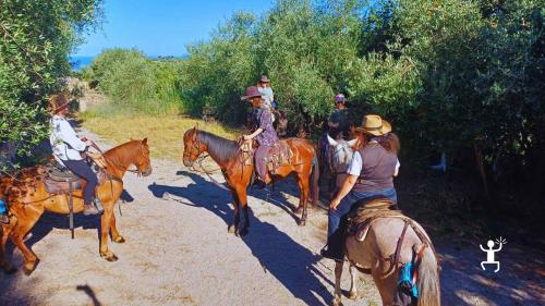 Escursione a cavallo tra borghi storici e panorami della Costiera Sorrentina, esperienza ideale per coppie e gruppi